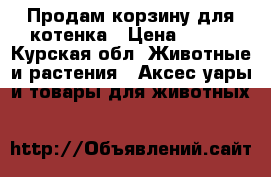 Продам корзину для котенка › Цена ­ 500 - Курская обл. Животные и растения » Аксесcуары и товары для животных   